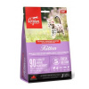 Orijen Cat and Kitten 340 g