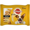 PEDIGREE kapsa Adult Chicken & Beef in gravy 4x100g