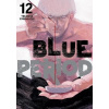 Blue Period 12 Tsubasa Yamaguchi