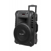 Azusa Aktívny reproduktor (s 2 bezdrôtovými mikrofónmi, SD, Bluetooth, USB) 12