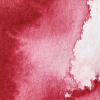 W&N professional watercolor 14ml Odtieň: perman. aliz. crimson