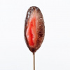 Exotic Vagina 85g