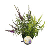 Letný orgován, Budleja Davidova FloraSelf Buddleja davidii 'Summer Kids ® Tricolor' 60-80 cm kvetináč 12 l krík