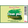 Jinan plod (Ginkgo) - bylinné kapky (tinktura) 50 ml - doplněk stravy