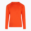 Detské termo tričko longsleeve icebreaker 200 Oasis Crewe fervid