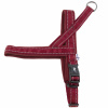 Hurtta Casual Harness Lingon - Postroj pre nórskeho psa - 100