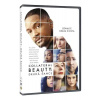 Collateral Beauty: Druhá šance - DVD /Plast/ (Collateral Beauty)
