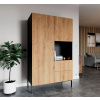 Nábytek PEGAS s.r.o. Skříň LANZZI 120, Skříň Černý Mat/Dub Artisan 120x200