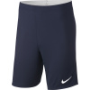 Šortky Nike M NK DRY ACDMY18 SHORT K 893691-451 Veľkosť XL