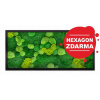 Machový obraz mix v drevenom ráme so svetlo zeleným sobím machom 120x40 cm