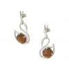 Producent Silver Amber Swans Gdansk (Producent Silver Amber Swans Gdansk)