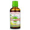 Bylinné kvapky Chlamystop - tinktúra, 50 ml