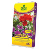 Agro CS Primaflora substrát pro muškáty a pelargonie 40 l