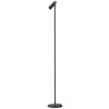 Stojacia lampa LED Immax TIT, čierna so zlatými prvkami, CCT 08993L