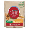 PURINA ONE Mini Active Chicken, Rice - suché krmivo pre psov - 800g