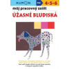 Úžasné bludiská - Môj pracovný zošit | Kolektív autorov