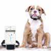 Collar GPS G12P lokalizátor pre zvieratá psie mačka (Collar GPS G12P lokalizátor pre zvieratá psie mačka)