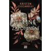 Temné zapomnění - Kristen Ciccarelli