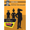ChessBase Power Play 15 - Practical Pawn Endgames, Daniel King - verzia na stiahnutie (anglicky, nemecky)
