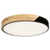 Rabalux MAPLE LED stropné svietidlo 3528