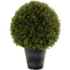 Boxwood Ball in plastic pot (UV res.) pot.27cm 50x68 cm