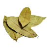 Salvia Paradise Graviola annona list 80 g