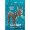 Lucinka a kouzelný oslík - Anne Booth, Sophy Williams (ilustrátor)