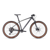 CTM RASCAL 3.0 29