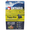 Ontario Puppy Mini Lamb and Rice 2,25 kg