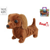 Take Me Home jazvečík plyšový 19cm na batérie so zvukom v krabičke