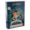 Distrineo Adventný kalendár Harry Potter