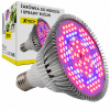 Osvetlenie pre rastliny - Žiarovka pre rast rastlín E27 120LED 80W (Osvetlenie pre rastliny - Žiarovka pre rast rastlín E27 120LED 80W)