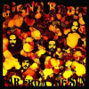 LP Siena Root: Far From The Sun LTD | NUM