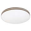 Rabalux OSCAR2 LED stropné svietidlo 71173