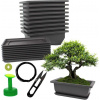 Cultivea Sada 10 kvetináčov na bonsaje - 1 sada