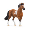 Schleich 13978 Zvieratko - žrebec Mangalarga Marchador