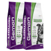 Gemon Performance All Breeds Adult with Chicken and Rice 2 x 20 kg