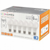 LED žiarovka LEDLUMEN A65-AP E27 15 W 1521 lm 3000K
