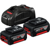 Bosch 1.600.A00.B8J