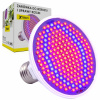 Osvetlenie pre rastliny - Žiarovka pre rast rastlín E27 200LED 20W (Osvetlenie pre rastliny - Žiarovka pre rast rastlín E27 200LED 20W)