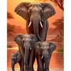Diamantový obraz Slonia rodinka