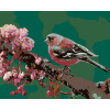 ZUTY Maľovanie podľa čísel - KVETNÚCA SAKURA A RUŽOVÝ VTÁČIK Rámovanie: vypnuté plátno na rám, Rozmer: 80x100 cm