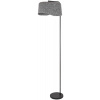 Rabalux Farelia stojaca lampa 1x10 W čierna-sivá 74019