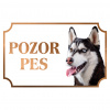 Sibírsky husky - Kovová tabuľka POZOR PES