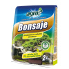 Bonsaje 2l /300/