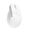 Trust Bayo+ Multidevice Ergonomic Wireless Mouse 25399