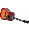 Sigma Guitars DM12-SG5