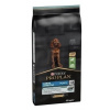 Purina Pro Plan Large Puppy Athletic Sensitive Digestion jahňacie 12 kg