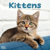 Kittens, 30,5 x 30,5 30,5 x 61 cm 2026