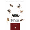 Pavúky Slovenska